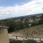The wine region along the Rhone River valley.