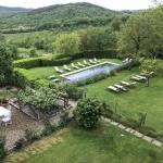 The lovely pool and garden at Palazzo Squarcialupi.