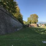 The massive walls surrounding Lucca.