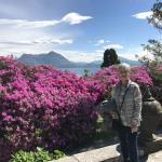 Brenda shows off the beautiful azaleas at Isola Bella.