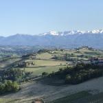 Look at this amazing view with the snow covered Alps in the distance.