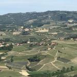 The magical vista of the Langhe Hills.