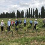 Exploring the Avignonesi vineyards.