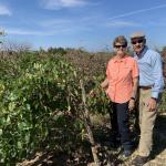 Chris and Merrillyn make a pretty picture in the vineyard.