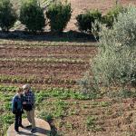 The garden at the Masseria.