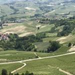 The beautiful vineyards of the Langhe Hills.