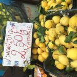LEMONS OF SORRENTO.  