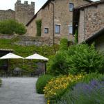Beautiful grounds of Castello Banfi.