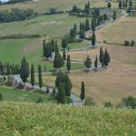 The winding road seen on many postcards and calendars.