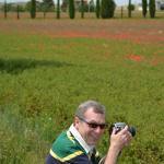 Brian gets the good shots of a poppy field near Pienza.