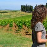 The lovely vineyards and our guide Monica.