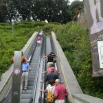 Thank goodness for the escalator in Cortona.