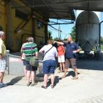 An adventure to learn about making Olive Oil near Volterra.  Mateo, our guide has all the information.
