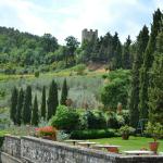 The beautiful estate of Castello Verrazzano.