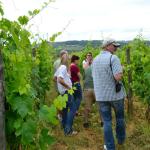 We even got to visit the vineyards.