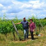 Tony finds a new friend in the Vineyards.