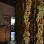 Future Vin Santo or Holy Wine.