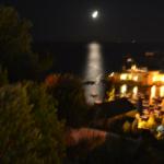 Moonlight over the Bay of Silence.
