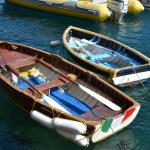 Colorful boats in Portofino harbor.