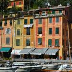 The pretty colored houses in Portofino.
