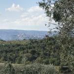 Hill top location of winery.  Orvieto in the far distance.