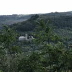 The beautiful countryside around Orvieto.