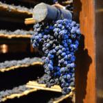 Future Vin Santo.