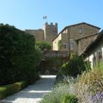 A visit to Castello Banfi.