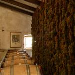 Future Vin Santo.
