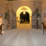 Beautiful Castello Bevilacqua.