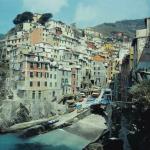 A hill hugging Cinque Terre village.
