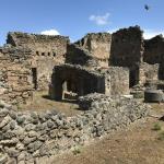 Some of the ancient homes and shops in Pompeii with pretty poppies everywhere.