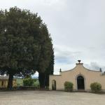 The old cellars at Avignonese.