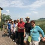 Views over the Langhe Hills.