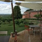 A lunch with views of the Tuscan hills.