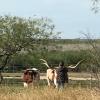 A new kind of pet on the ranch.  Chad with the longhorns.