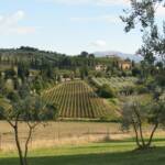 Brunello wine country