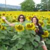 Fun in a sunflower field